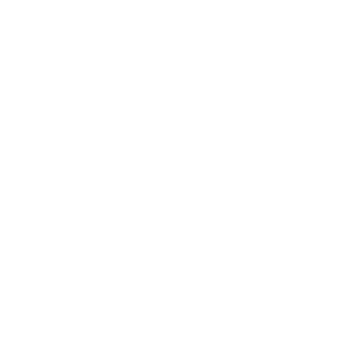 Income Tax Return